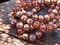 *20* 8mm Metallic Pink Washed Coppered Rosewood Faceted Round Melon Beads